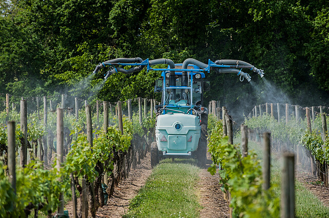 Agricultural chemical treatments in spring vineyard