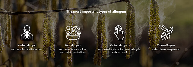 [Translate to Chinese:] The most important types of allergens
