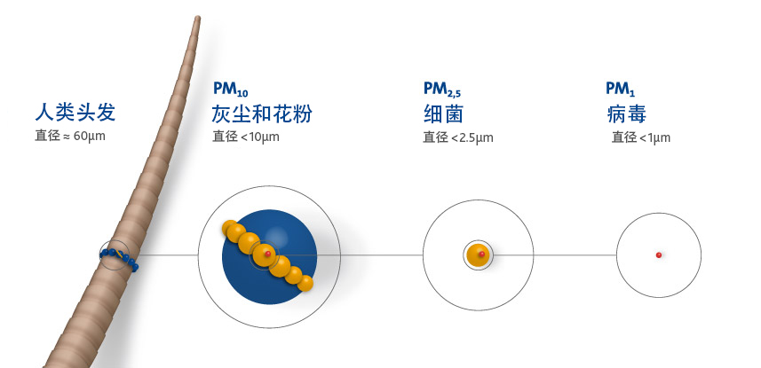 病毒尺寸比较